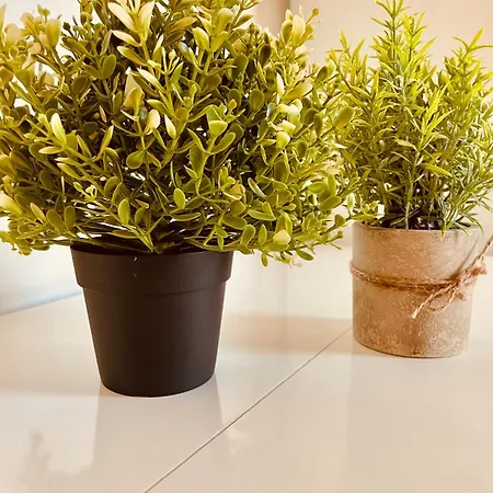 In Centro Dalla Maddy *