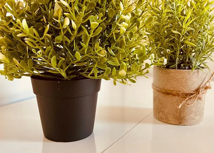 In Centro Dalla Maddy *